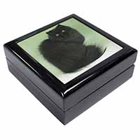 Black Persian Cat Keepsake/Jewellery Box