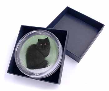 Black Persian Cat Glass Paperweight in Gift Box