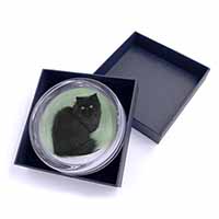 Black Persian Cat Glass Paperweight in Gift Box