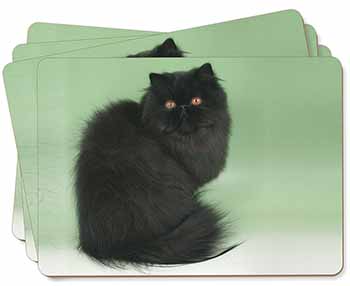 Black Persian Cat Picture Placemats in Gift Box