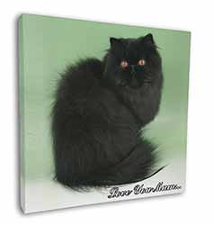 Black Persian Cat 