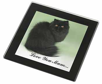 Black Persian Cat 