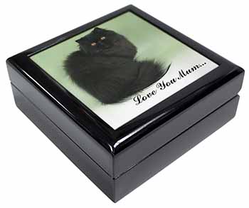 Black Persian Cat 