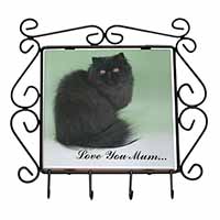 Black Persian Cat 