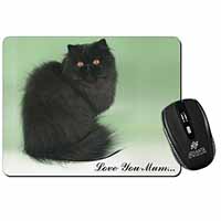 Black Persian Cat 