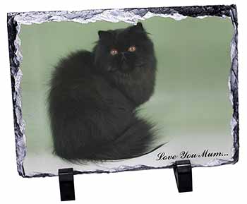 Black Persian Cat 