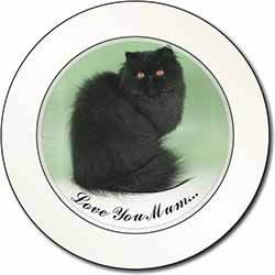 Black Persian Cat 