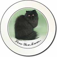 Black Persian Cat 