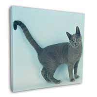 Russian Blue Cat Square Canvas 12"x12" Wall Art Picture Print