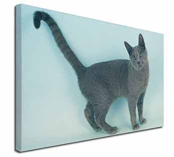 Russian Blue Cat Canvas X-Large 30"x20" Wall Art Print