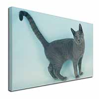 Russian Blue Cat Canvas X-Large 30"x20" Wall Art Print