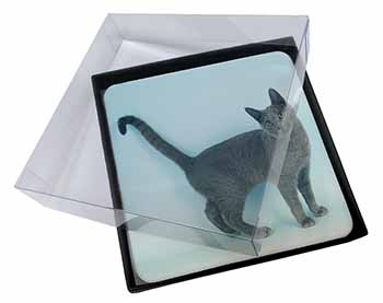 4x Russian Blue Cat Picture Table Coasters Set in Gift Box
