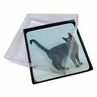 4x Russian Blue Cat Picture Table Coasters Set in Gift Box