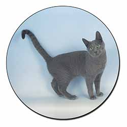 Russian Blue Cat Fridge Magnet Printed Full Colour