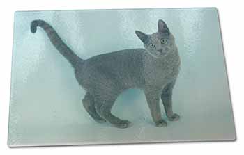 Large Glass Cutting Chopping Board Russian Blue Cat