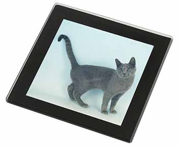 Russian Blue Cat Black Rim High Quality Glass Coaster