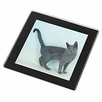 Russian Blue Cat Black Rim High Quality Glass Coaster