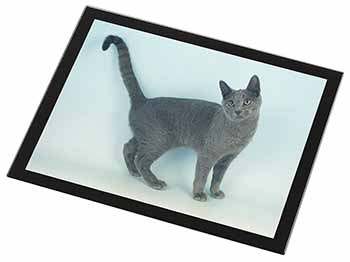 Russian Blue Cat Black Rim High Quality Glass Placemat