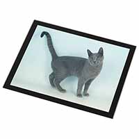 Russian Blue Cat Black Rim High Quality Glass Placemat