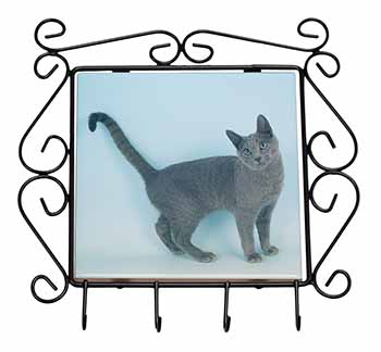 Russian Blue Cat Wrought Iron Key Holder Hooks