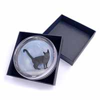 Russian Blue Cat Glass Paperweight in Gift Box