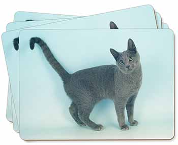 Russian Blue Cat Picture Placemats in Gift Box