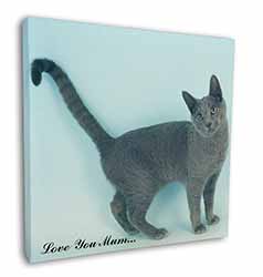 Russian Blue Cat Love You Mum