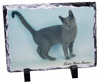 Russian Blue Cat Love You Mum