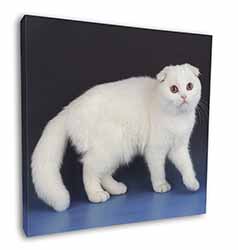 White Scottish Fold Cat Square Canvas 12"x12" Wall Art Picture Print