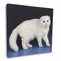 White Scottish Fold Cat Square Canvas 12"x12" Wall Art Picture Print