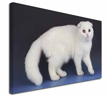 White Scottish Fold Cat Canvas X-Large 30"x20" Wall Art Print