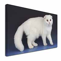 White Scottish Fold Cat Canvas X-Large 30"x20" Wall Art Print