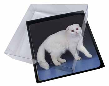 4x White Scottish Fold Cat Picture Table Coasters Set in Gift Box