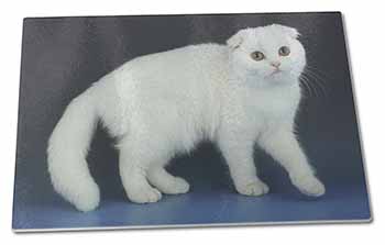 Large Glass Cutting Chopping Board White Scottish Fold Cat