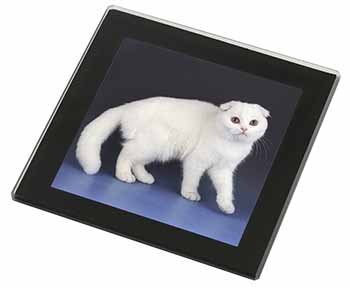 White Scottish Fold Cat Black Rim High Quality Glass Coaster