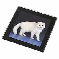 White Scottish Fold Cat Black Rim High Quality Glass Coaster