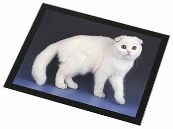 White Scottish Fold Cat Black Rim High Quality Glass Placemat