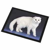 White Scottish Fold Cat Black Rim High Quality Glass Placemat