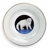 White Scottish Fold Cat Gold Rim Plate Printed Full Colour in Gift Box