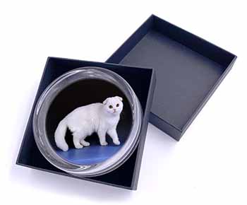 White Scottish Fold Cat Glass Paperweight in Gift Box