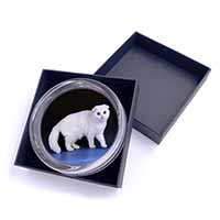 White Scottish Fold Cat Glass Paperweight in Gift Box