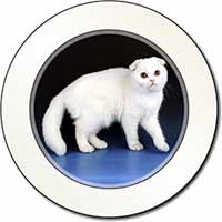 White Scottish Fold Cat Car or Van Permit Holder/Tax Disc Holder