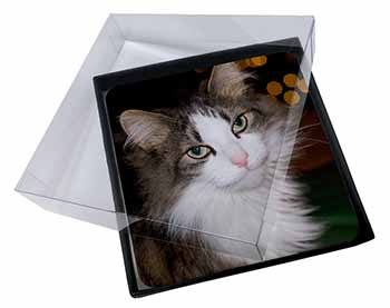 4x Beautiful Tabby Cat Picture Table Coasters Set in Gift Box