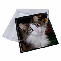 4x Beautiful Tabby Cat Picture Table Coasters Set in Gift Box