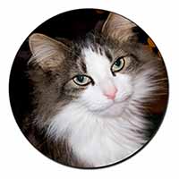 Beautiful Tabby Cat Fridge Magnet Printed Full Colour