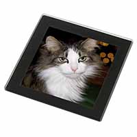 Beautiful Tabby Cat Black Rim High Quality Glass Coaster
