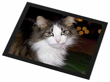 Beautiful Tabby Cat Black Rim High Quality Glass Placemat