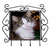 Beautiful Tabby Cat Wrought Iron Key Holder Hooks