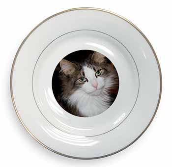 Beautiful Tabby Cat Gold Rim Plate Printed Full Colour in Gift Box