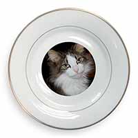 Beautiful Tabby Cat Gold Rim Plate Printed Full Colour in Gift Box